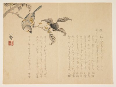 Uccello su un ramo da Tanomura Shsai